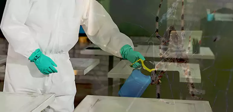 Why Buyers Still Want Homes With Pest Infestations in Arkansas, AR?