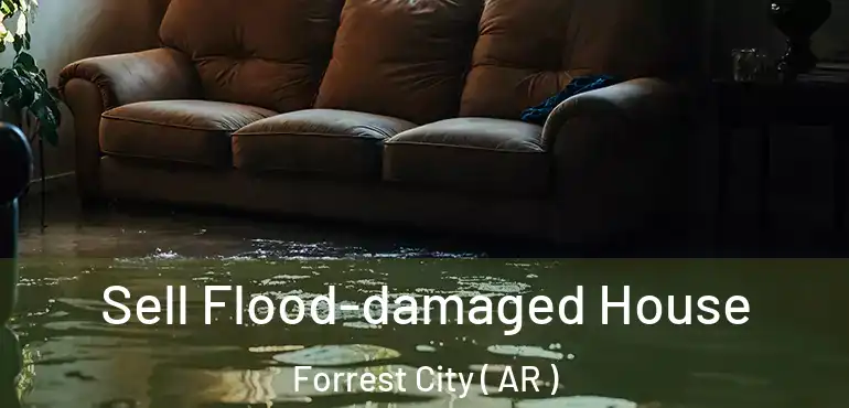  Sell Flood-damaged House Forrest City ( AR )