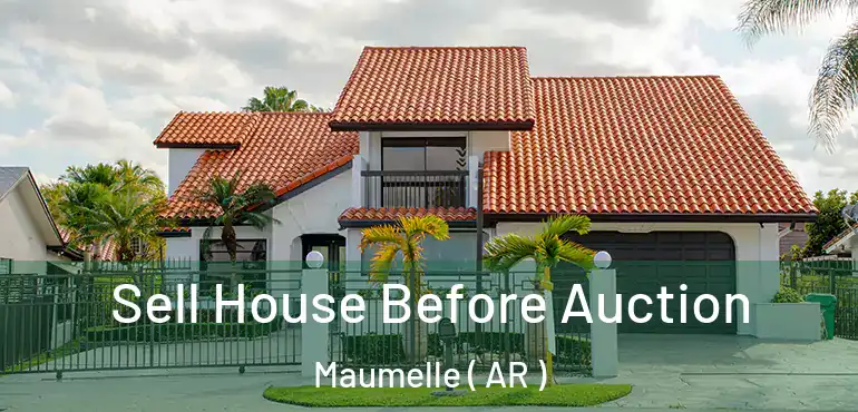  Sell House Before Auction Maumelle ( AR )