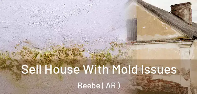  Sell House With Mold Issues Beebe ( AR )