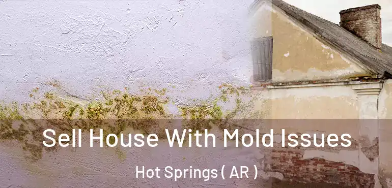  Sell House With Mold Issues Hot Springs ( AR )