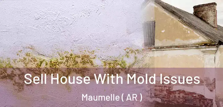  Sell House With Mold Issues Maumelle ( AR )