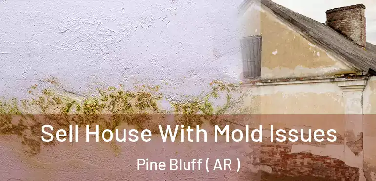  Sell House With Mold Issues Pine Bluff ( AR )
