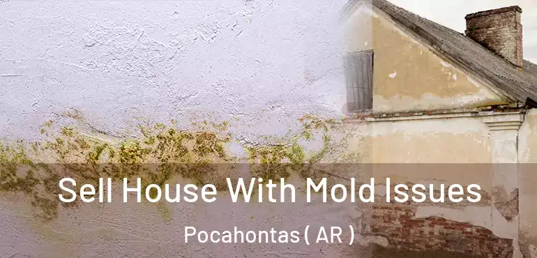 Sell House With Mold Issues Pocahontas ( AR )